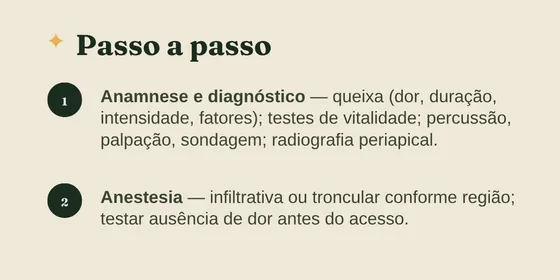 Página do material mostrando o passo a passo do procedimento